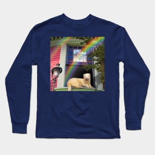 Summertime Rainbow Ferret. Spring Ferrets art design Long Sleeve T-Shirt